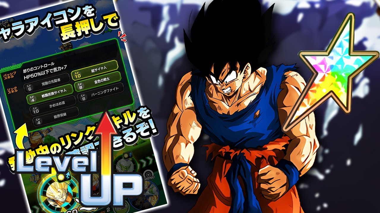 OVERFLOWING RAGE! 100% NAMEK GOKU LINK LEVEL 10 VS THE LEGENDARY GOKU ...