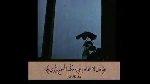 حالات واتس اب دينيه 💛... ستوريات دينيه {قال لا تخافا اني معكما اسمع وارى} قران كريم 💐
