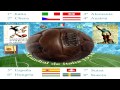 Youtube Thumbnail title