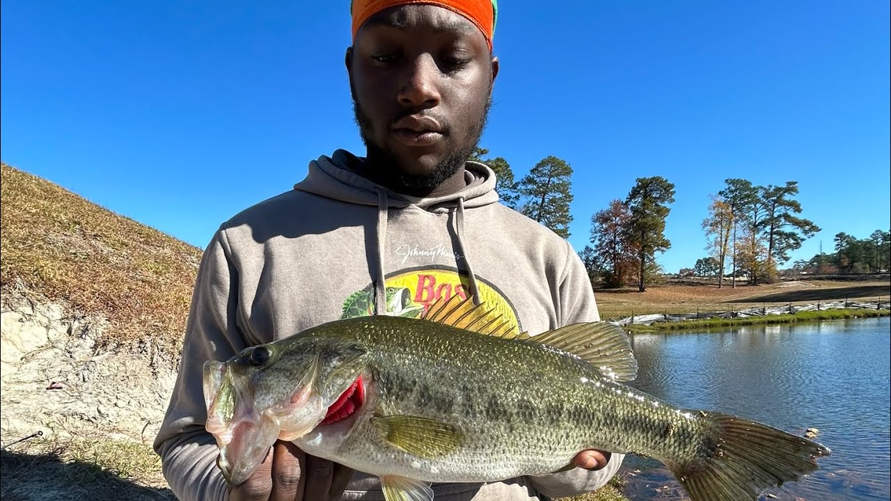March bass fishing  (big bass) 