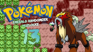 Pokemon Emerald Randomizer Nuzlocke Episode 13- FIERY PATH & A LEGEND!!!!