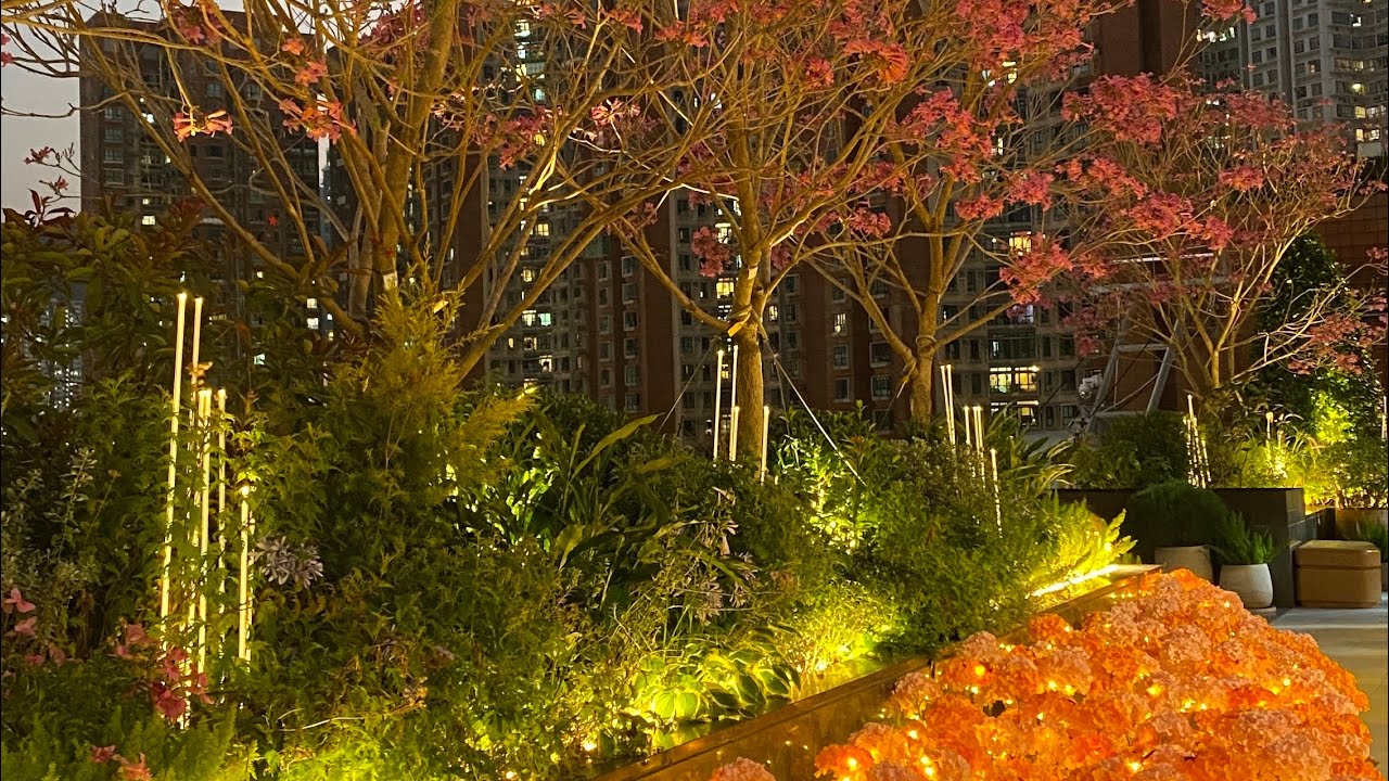 Chinese new year Decor at Sky Garden Shatin 