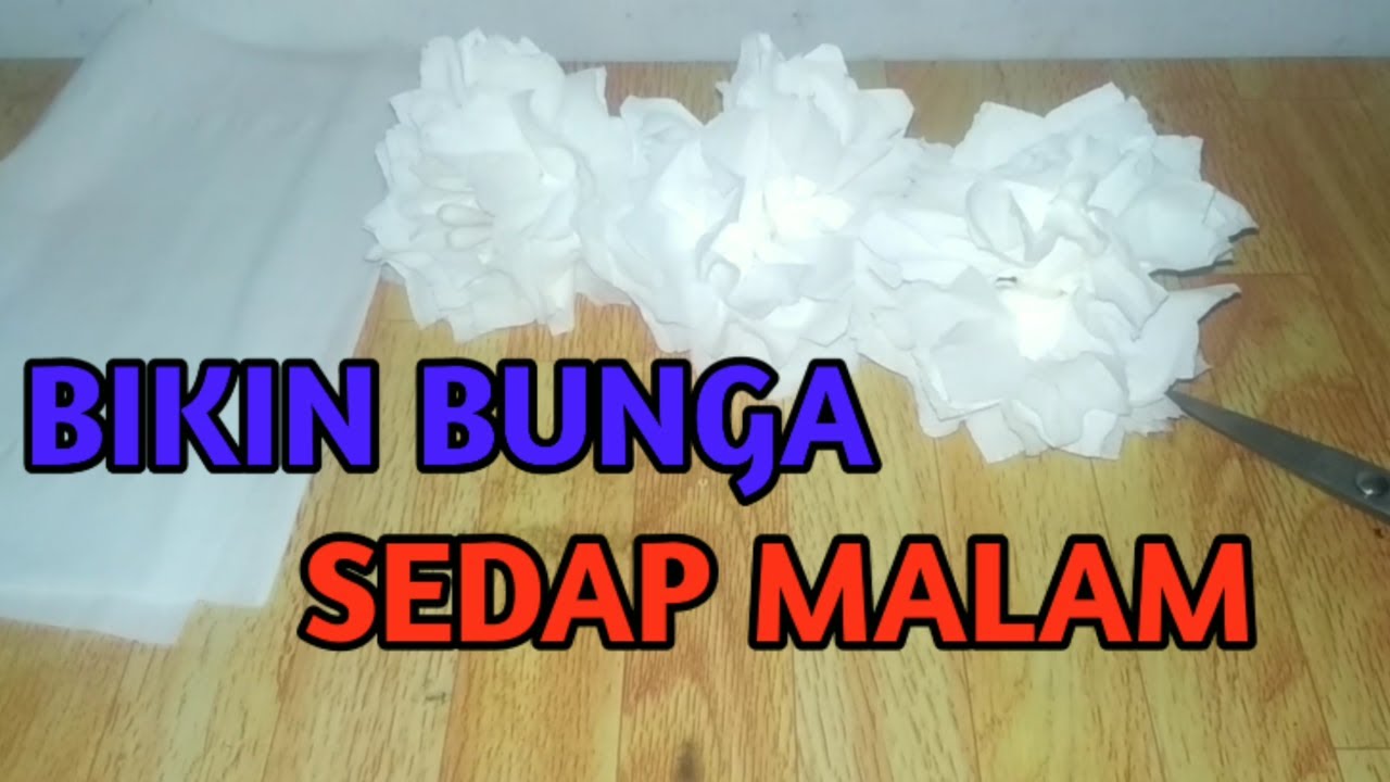 BIKIN BUNGA  SEDAP  MALAM  YouTube