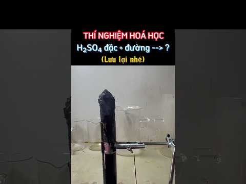 Video Thí nghiệm hoá học: H2SO4 đặc + đường || Tính háo nước, sự than hoá - youtube