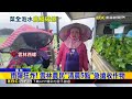 豪雨灌雲林西螺「菜全泡水」 全台農損破1.3億@newsebc