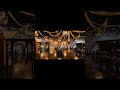 Micro Wedding at Agape Garden #elopementwedding #weddingvenue