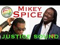 Mikey Spice | The Best Of Mikey Spice Hits | Reggae Roots Lovers Rock | Justice Sound