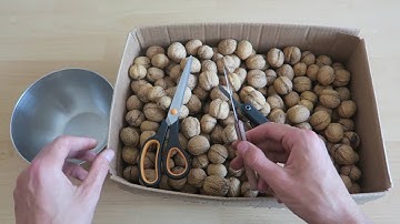 How to open walnuts - the easy way