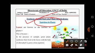 #DOE WORKSHEET 17# Photosynthesis #Class7th