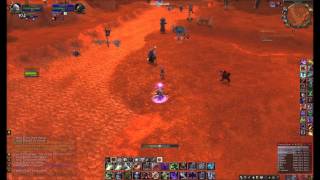 Anathema Bug pet 2