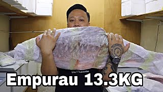 Raja Ikan Ulu Sungai Baleh Yang Termahal Di Kapit,Empurau 13.3KG Berharga 5K Ada Di Kapit.