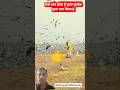 कैसे पाप होता है पूज्य गुरुदेव द्वारा पाप किया है ।#premanandjimaharaj #bhajanmarg