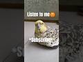 Birb wanted to inspire but gets off topic❤️... #ytshorts #shorts #cutenessoverload
