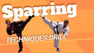 Black Belt Workout #38: Sparring Technique Drill | Fight Drill With Me | At Home Workout MyKwonDo