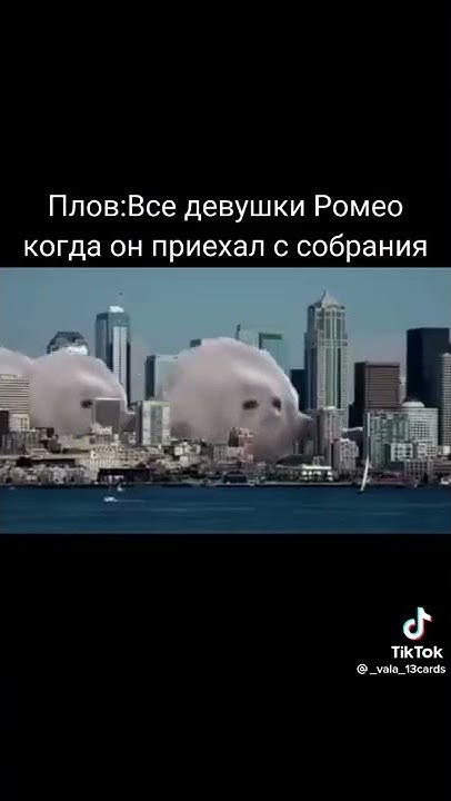 залупа - YouTube