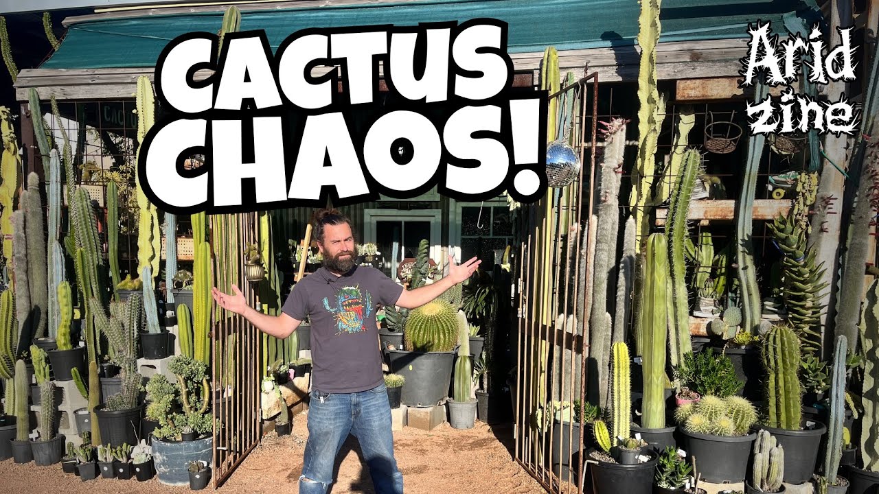 Hunting hidden cactus treasures at Cactus Talk