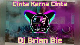 Cinta Karna Cinta 因為愛所以愛 Remix By Dj Brian Bie