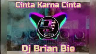 Cinta Karna Cinta 因為愛所以愛 Remix By Dj Brian Bie