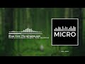 Epic deep DJ Intro by Micro Jingles