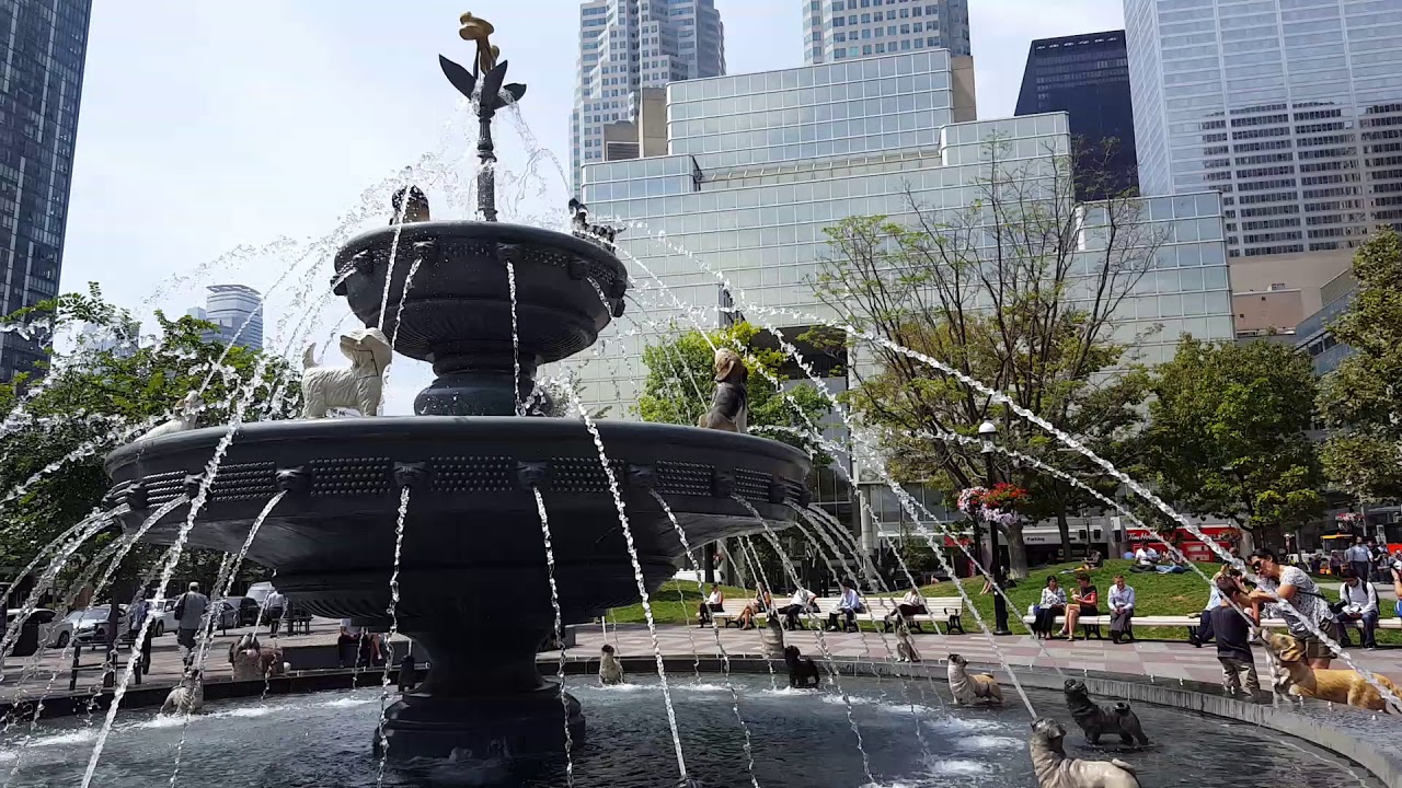 Dog Fountain Toronto YouTube
