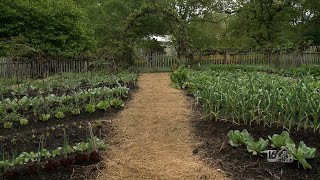 Get Garden Inspired!  Planting Ideas For Your Vegetable Garden
