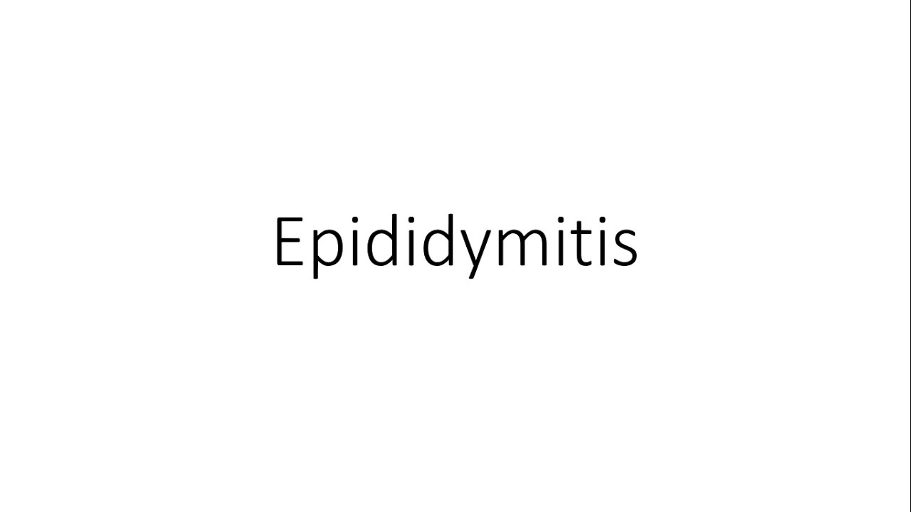 Epididymitis General Surgery YouTube