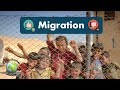 Migration and Its Impacts