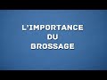 L' IMPORTANCE DU BROSSAGE PAR LE DOCTEUR MARION VERDY