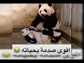 مقاطع مضحكه لطفاً وليس امراً الاشتراك لدعم القناه