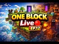 🔴 Minecraft  One Block Live  🔥 EP 12