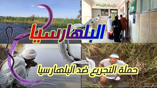 علاج البلهارسيا / حملة التجريع ضد البلهارسيا 2023 / البلهارسيا والكبد واسهل طريقه لعلاجها