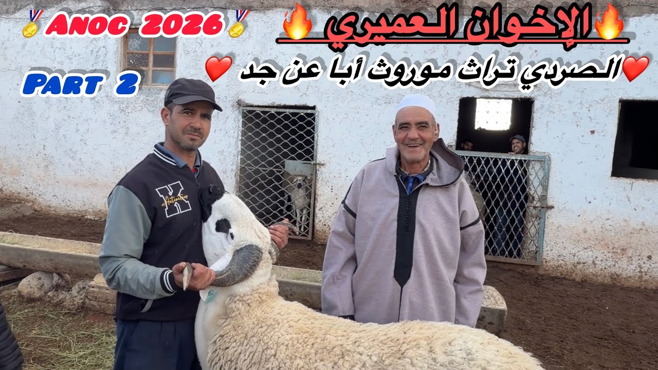 تتمة الفحول والخروفة الممتازة لي غيقدمو الإخوان العميري ولي غدي تفاجأ الجميع يوم المسابقة فرجة ممتعة