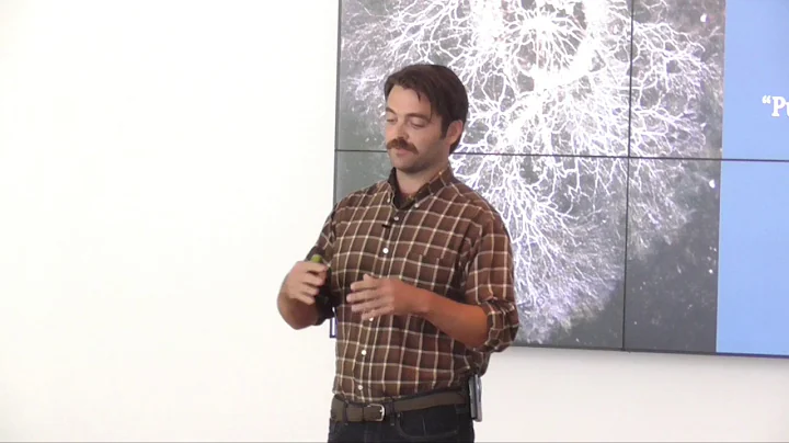 We Are Connected | Scott Delaney | TEDxToledo