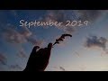 SEPTEMBER VLOG/ школьная жизнь, прогулки по лесу и много котов🍂