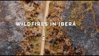 Iberá Wildfires - the Aftermath