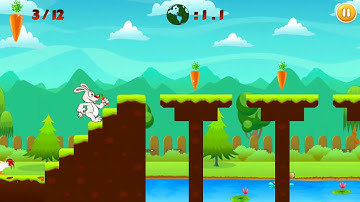 Bunny run Game