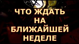 ЧТО ЖДАТЬ НА СЛЕДУЮЩЕЙ НЕДЕЛЕ #tarot#shorts#gadanie#таросегодня#тароонлайн