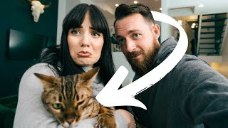 Taking our BENGAL CAT to the Vet... Something is not right by Kurtis & Chelsey 4,788 views 2 years ago 5 minutes, 43 seconds