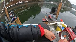 伊自良湖ワカサギ釣り　2022.1.3固定釣り