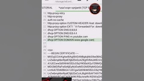 BUG BBM BANGKIT OPENVPN ALL TKP 100% CONNECT & UNLIMITED