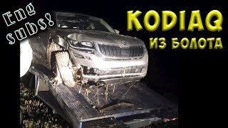 Skoda Kodiaq from the swamp Body Repair