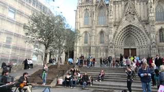 Day Video March 14Th Barcelona Spain