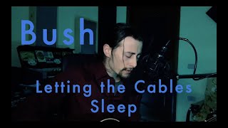 Bush - Letting the Cables Sleep (acoustic cover)