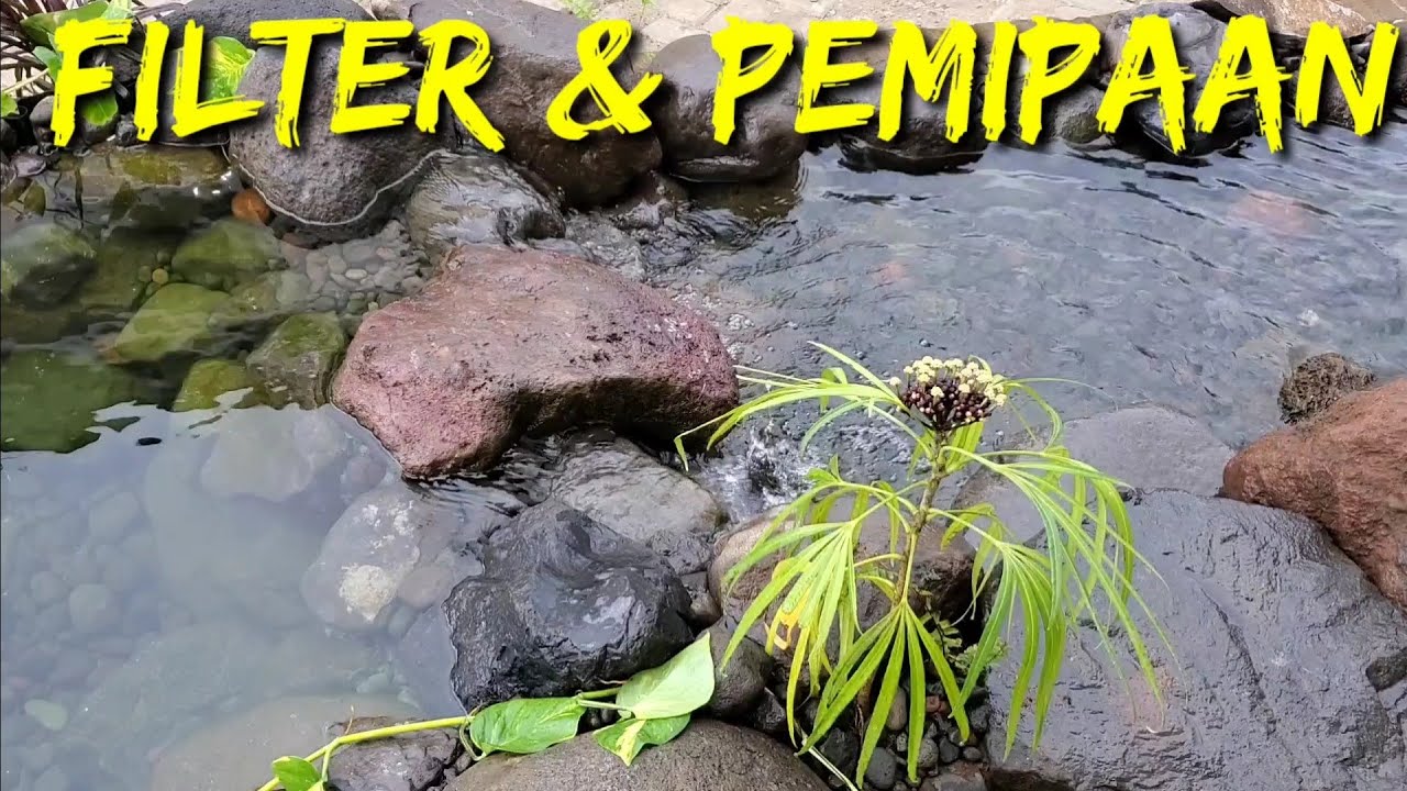 Denah pemipaan dan filter kolam natural