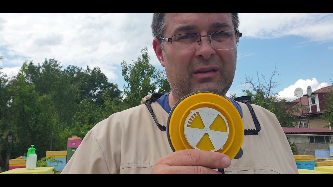 Tratarea albinelor cu Formisan, acid formic, 3 august 2024, Anatolie Severin Lyson