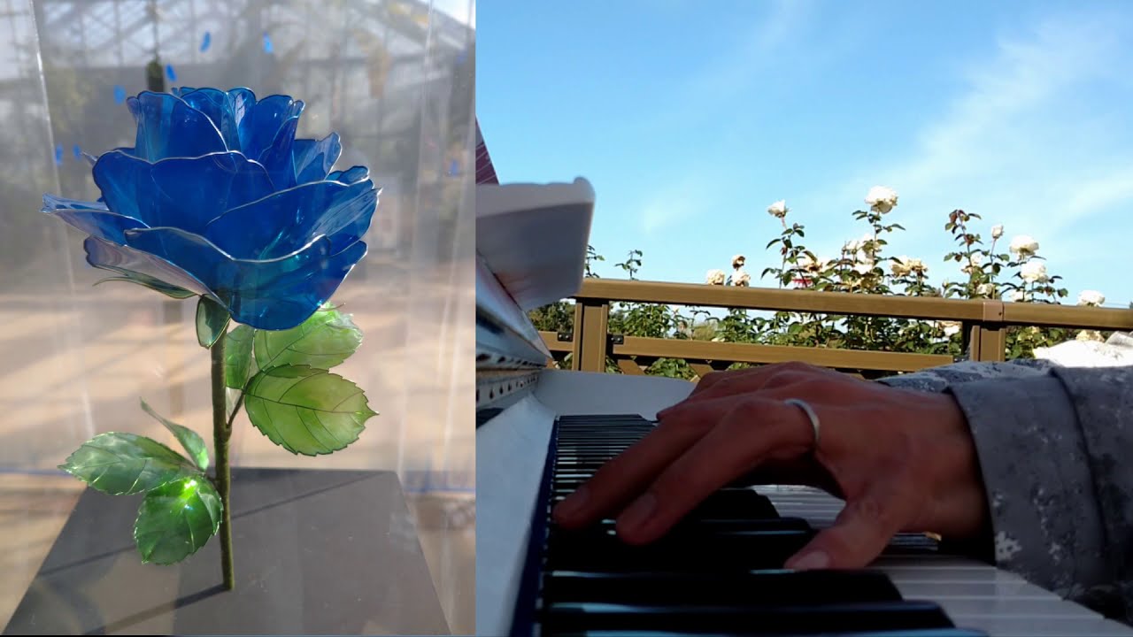 バラ園でYOSHIKI様作曲「薔薇と緑」を弾いてみた(^q^) - YouTube