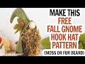 Free Gnome Pattern / Fall Gnome / Hook Hat Gnome Pattern / Moss Beard / Gnome DIY for Fall