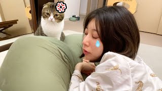 🐈リビングで寝落ちしたママを起こす猫