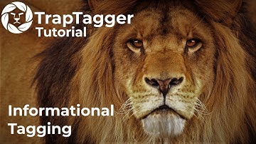 TrapTagger: Informational Tagging