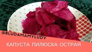 Капуста пилюска со свеклой остренькая Капуста пилюска со свеклой остренькая